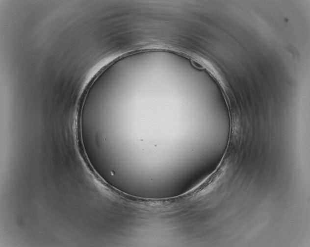 X0000112931149200909141328