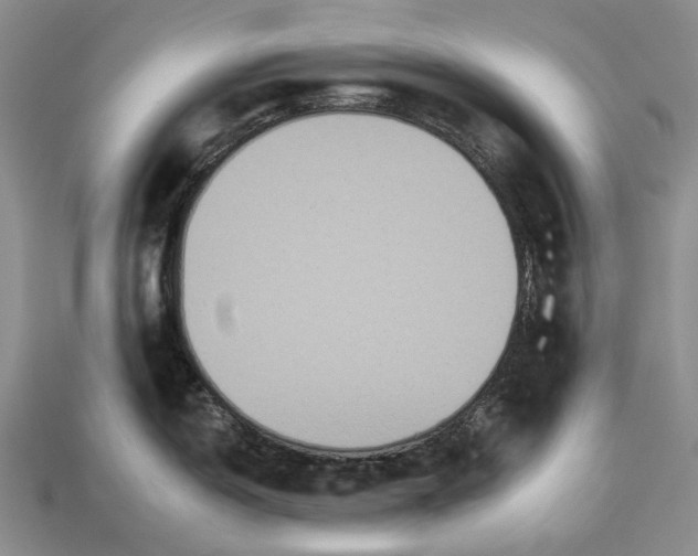 X0000112931150200909141328