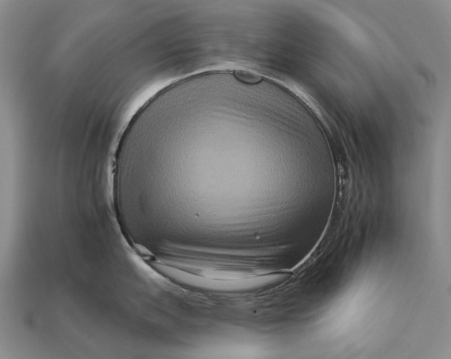 X0000112931151200909141328