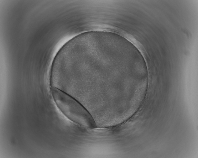 X0000112931152200909141328