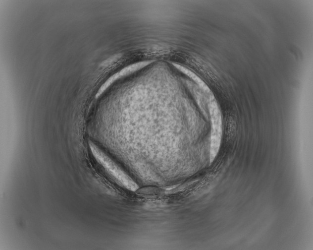 X0000112931153200909141328