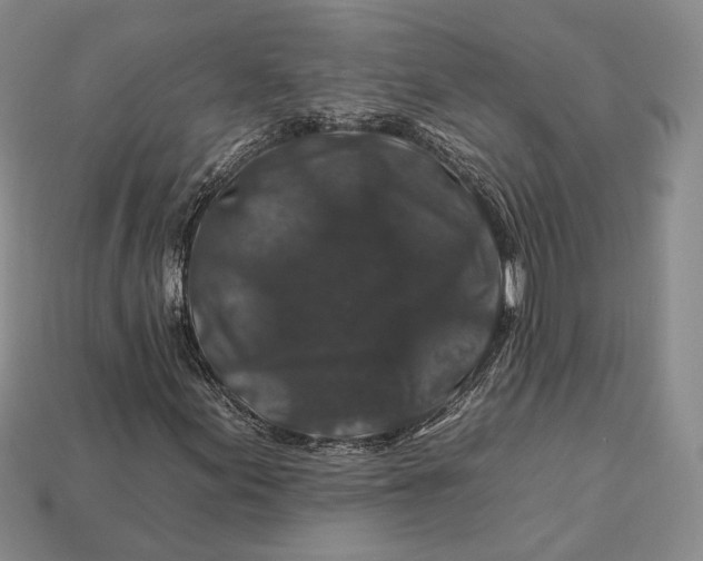 X0000112931155200909141328