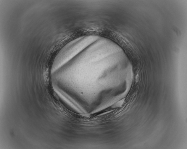 X0000112931156200909141328