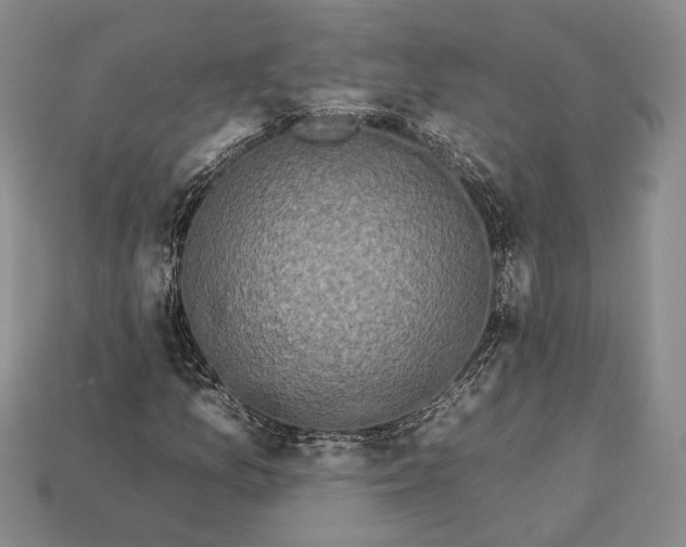 X0000112931157200909141328