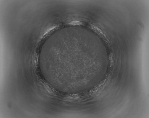 X0000112931158200909141328