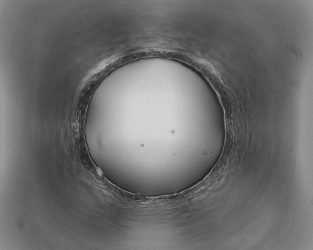 X0000112931159200909141327