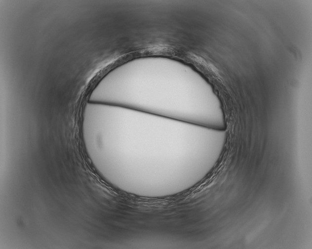 X0000112931160200909141327