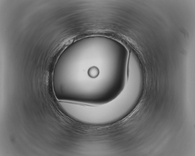 X0000112931161200909141327