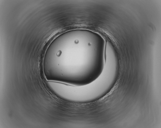 X0000112931162200909141327