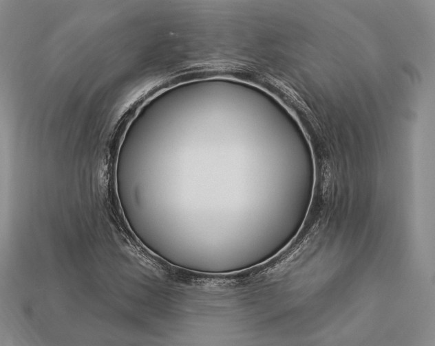 X0000112931163200909141327