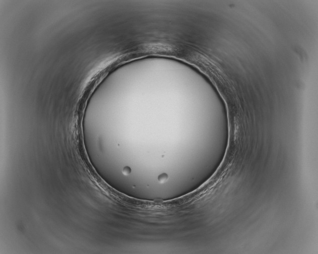 X0000112931164200909141327