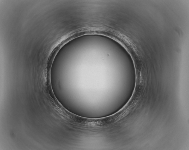 X0000112931165200909141327