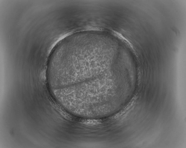 X0000112931166200909141327