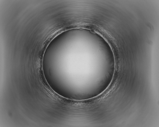 X0000112931169200909141327