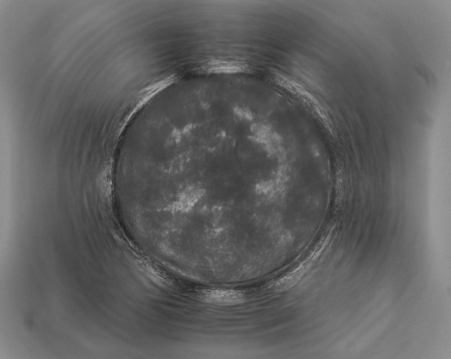 X0000112931170200909141327