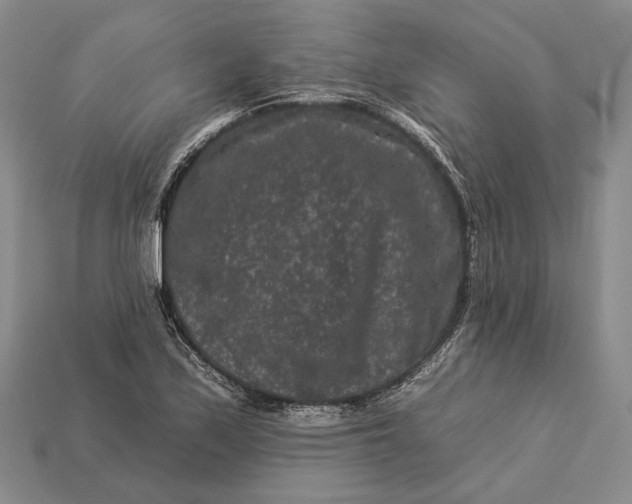 X0000112931171200909141327