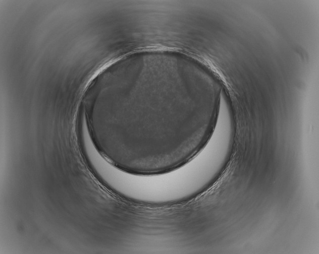 X0000112931173200909141327