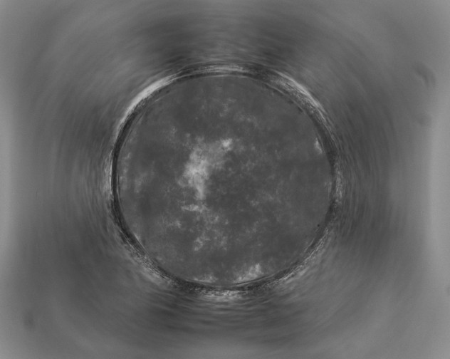 X0000112931174200909141327