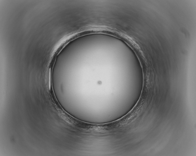 X0000112931175200909141327