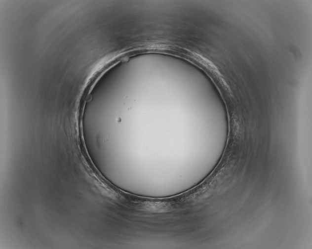 X0000112931176200909141327