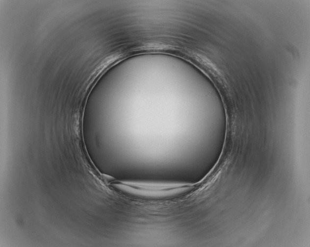 X0000112931177200909141327