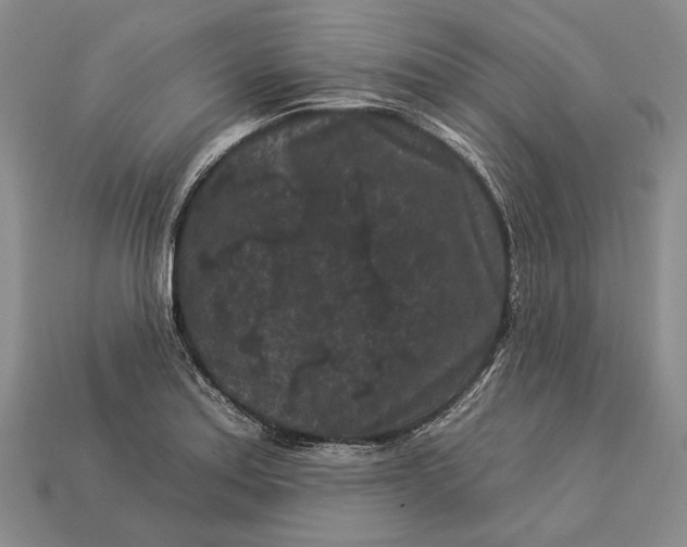 X0000112931179200909141327