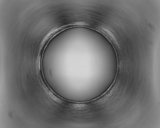 X0000112931180200909141327