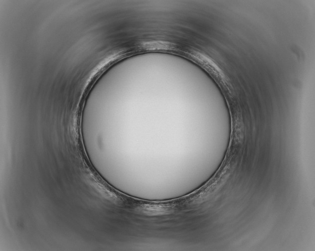 X0000112931182200909141327