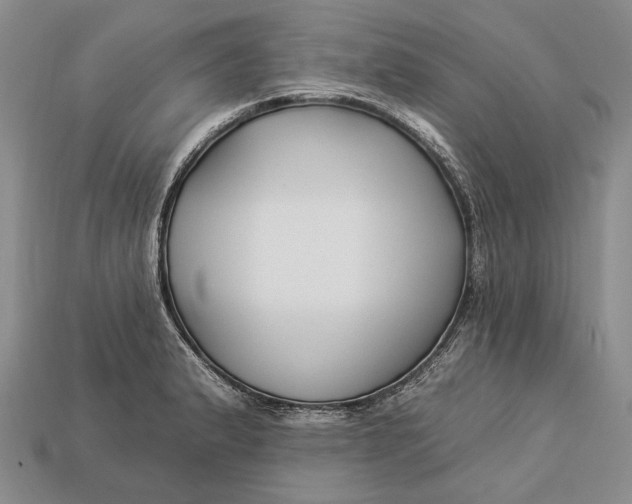 X0000112931183200909141327