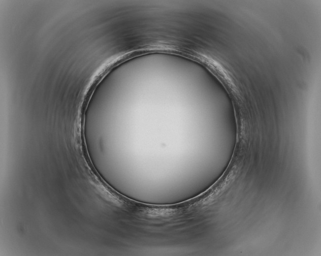 X0000112931184200909141327