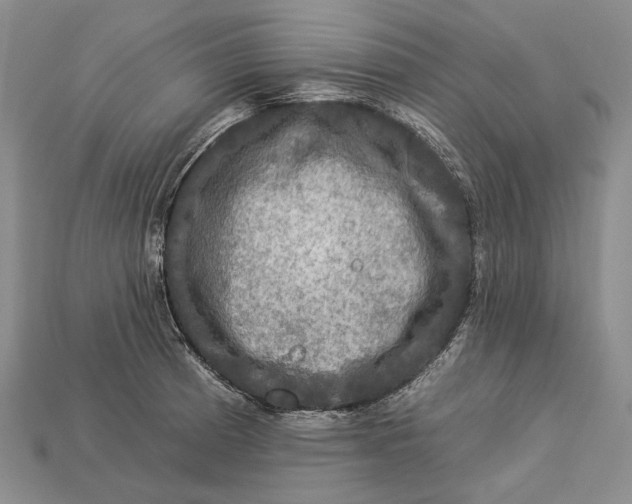 X0000112931185200909141327