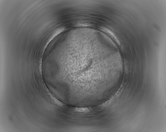 X0000112931186200909141327