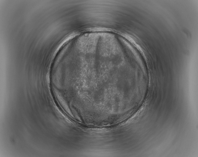 X0000112931189200909141327