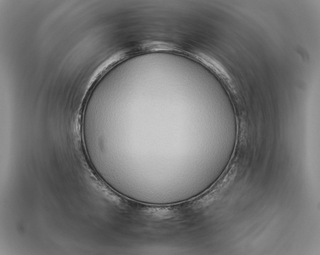 X0000112931190200909141327