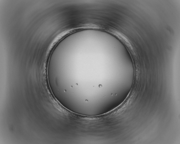 X0000112931192200909141327