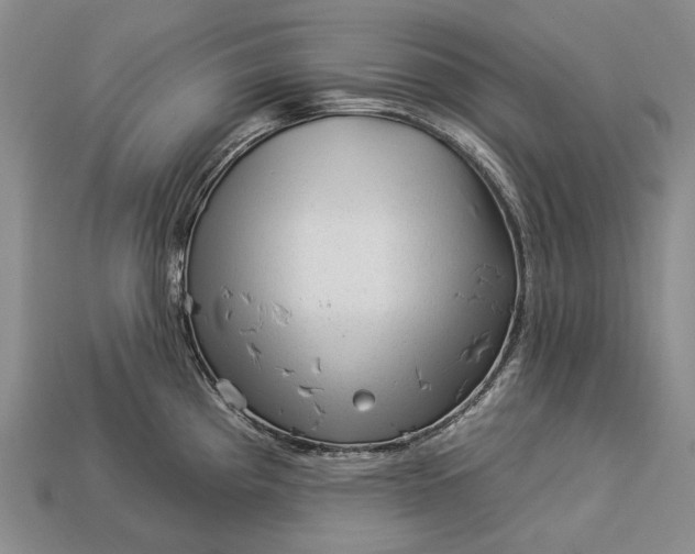 X0000112931193200909141327