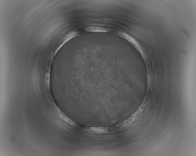 X0000112931194200909141327