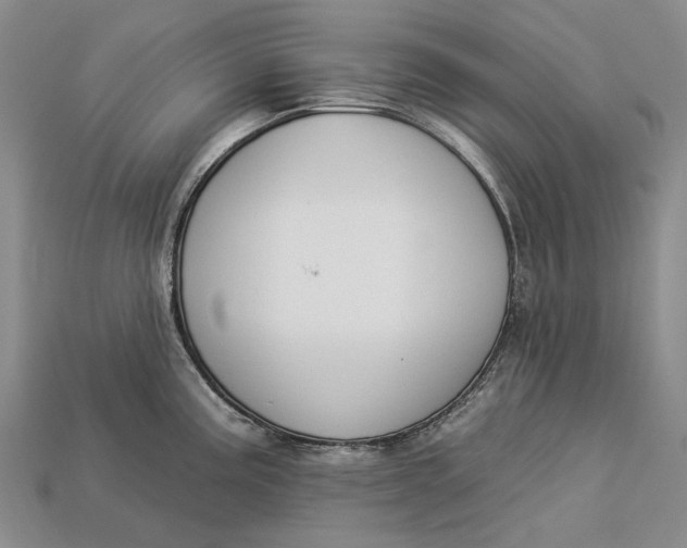 X0000112931195200909141327