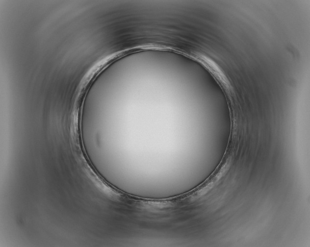 X0000112931196200909141327