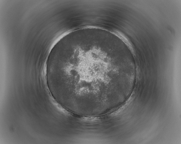 X0000112931198200909141327