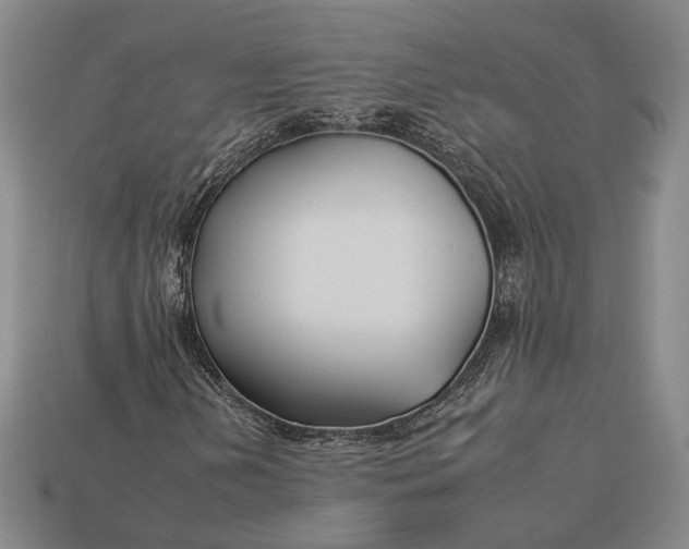 X0000112931202200909141326