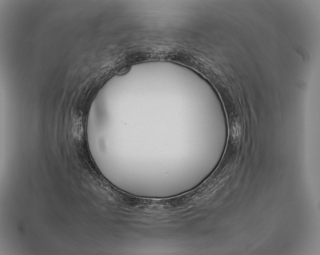 X0000112931204200909141326