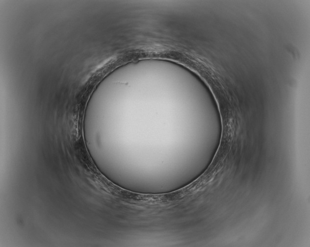 X0000112931205200909141326