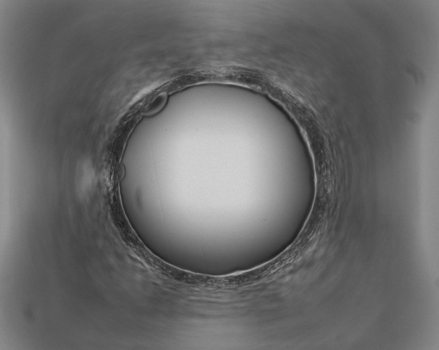 X0000112931206200909141326