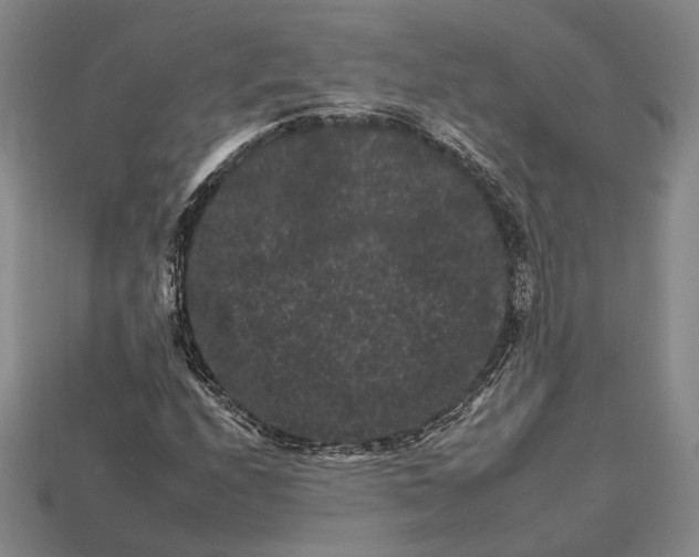 X0000112931208200909141326