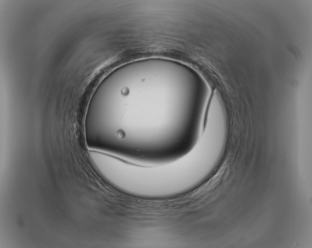 X0000112931210200909141326