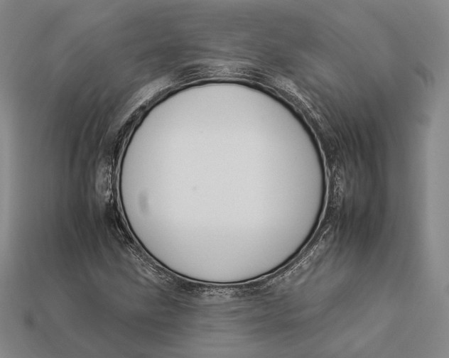 X0000112931211200909141326