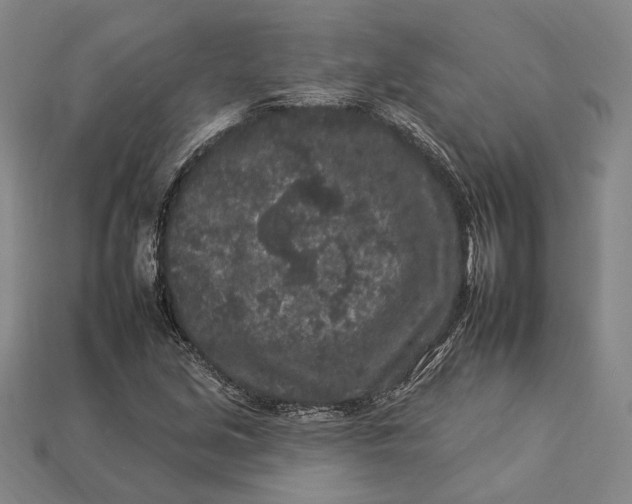 X0000112931213200909141326