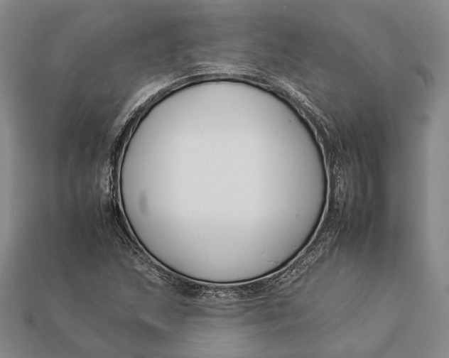 X0000112931215200909141326