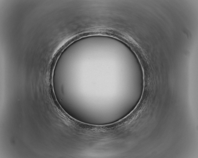 X0000112931216200909141326